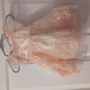 Nanette Baby Peach Satin & Tulle Dress